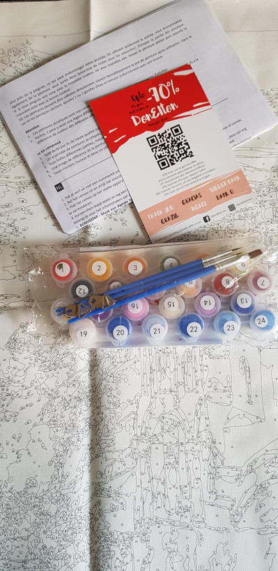 نقاشی با اعداد طرح شیر 40*50
