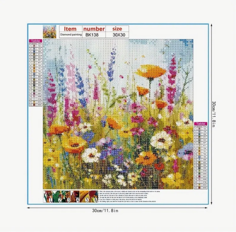 نقاشی الماسی طرح دشت گل سایز 30*30